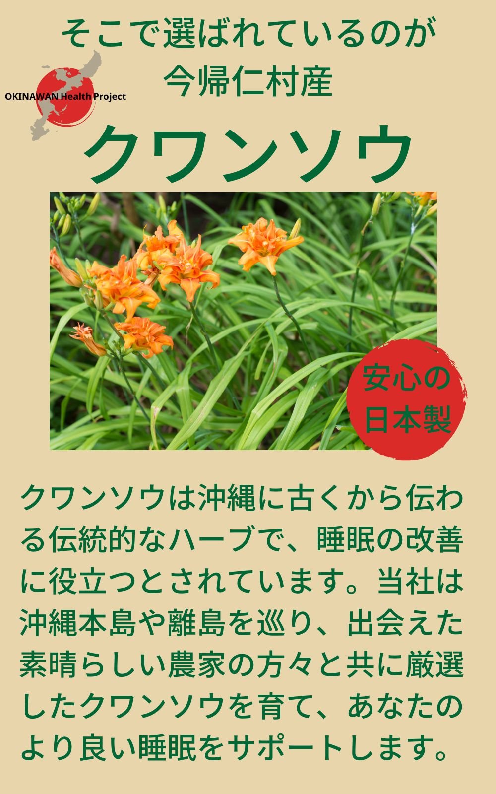 クワンソウ茶 睡眠 副交感神経優位 HRV サポート 眠り草 上質素材 浅煎り特殊製法 沖縄今帰仁村産【30包】 - SHIFTPOiNT|公式ストア