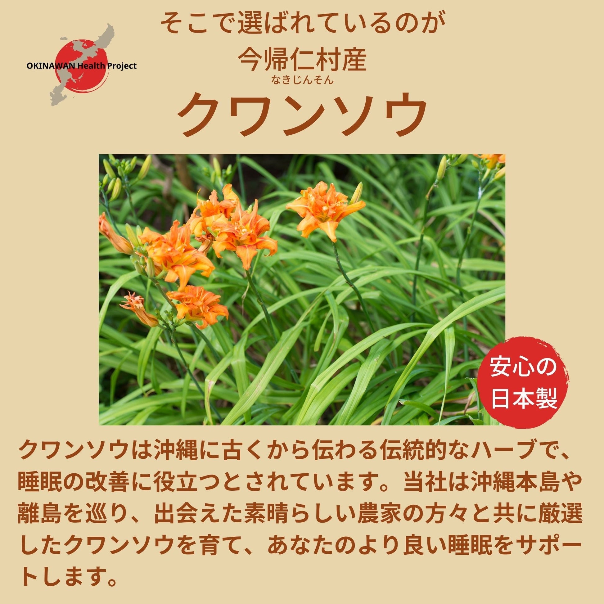 クワンソウ茶 睡眠 副交感神経優位 HRV サポート 眠り草 上質素材 深煎り特殊製法 沖縄今帰仁村産【30包】 - SHIFTPOiNT|公式ストア