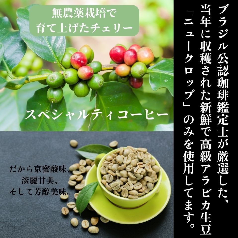 カビなしコーヒー(マイコトキシン・フリー) アイスコーヒー 対応モデル【Roast No.3】鴨川reiko(深煎り) - SHIFTPOiNT|公式ストア