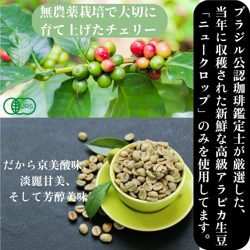 カビなしコーヒー(マイコトキシン・フリー)|京都スタイル 烏丸wakeup SWISS WATER®︎ PROCESS(中煎り) - SHIFTPOiNT|公式ストア