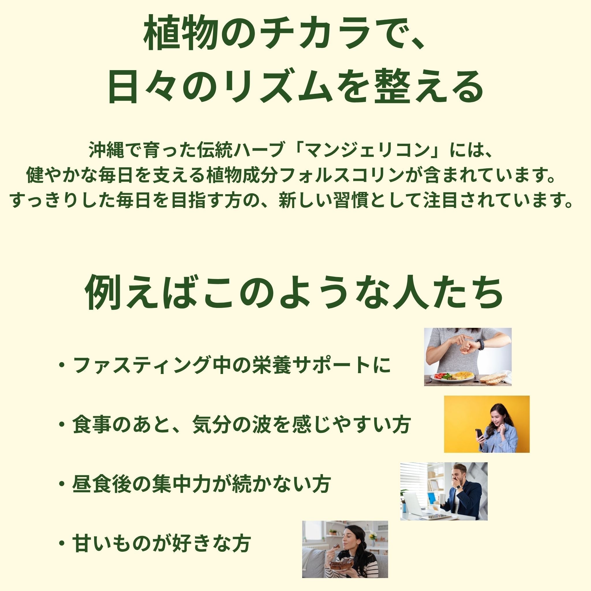 マンジェリコン サプリ（93粒）｜沖縄産ハーブ使用・粒タイプ健康補助