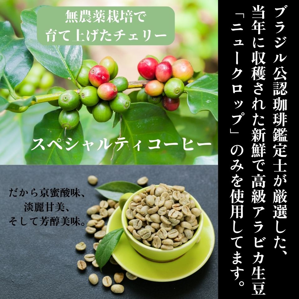 カビなしコーヒー（マイコトキシン・フリー）｜ 京都スタイル 祇園mind（浅煎り） - SHIFTPOiNT｜公式ストア