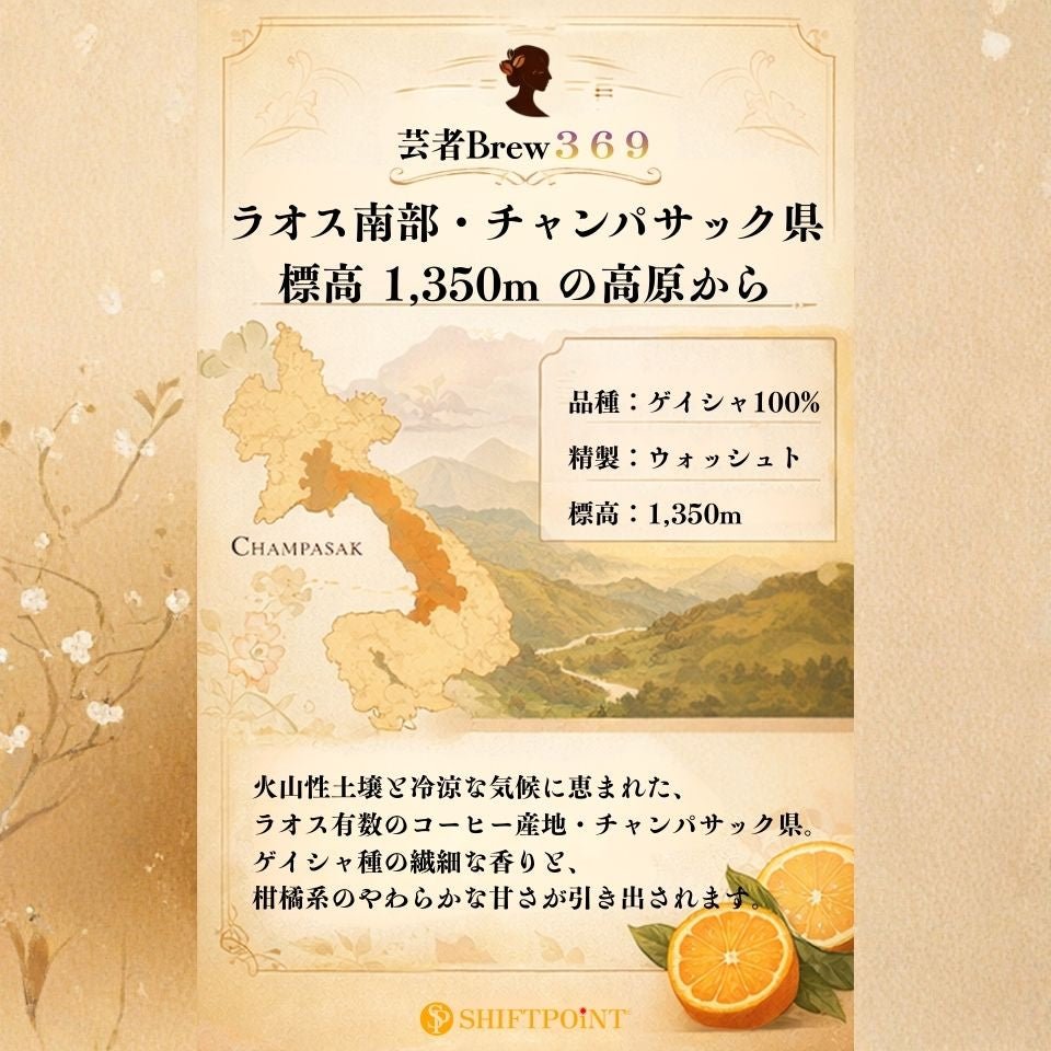 SHIFTPOiNT 京都スタイル カビなしコーヒー 芸者Brew369（ラオス・ゲイシャ種100％／豆200g） - SHIFTPOiNT｜公式ストア